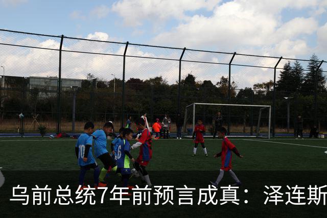 乌前总统7年前预言成真：泽连斯基当选，千万乌克兰人将为其买单