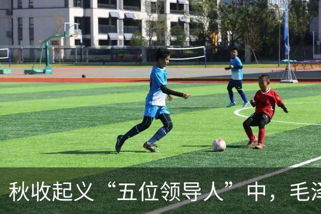 秋收起义“五位领导人”中，毛泽东后来当选国家主席，另外四人的一生经历与最终结局究竟如何？
