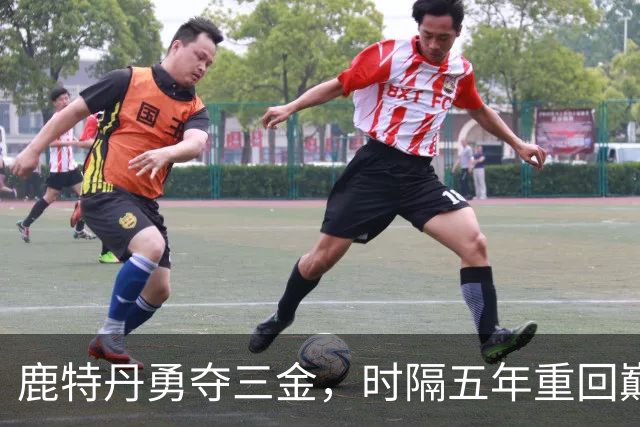 鹿特丹勇夺三金，时隔五年重回巅峰，中国体操73载逐梦，165个冠军荣耀，88位世界冠军全记录