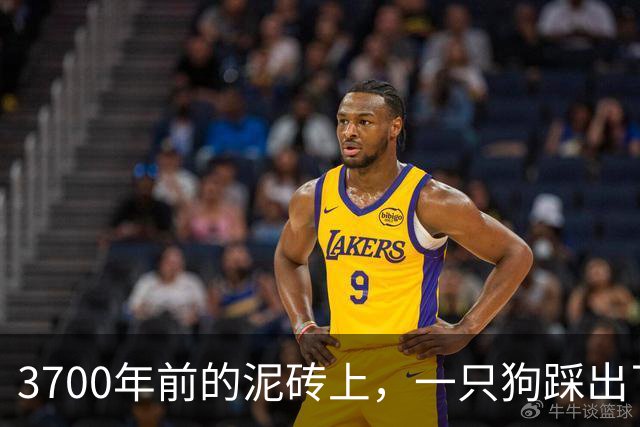 3700年前的泥砖上，一只狗踩出了它的"签名"