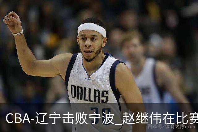 CBA-辽宁击败宁波 赵继伟在比赛中